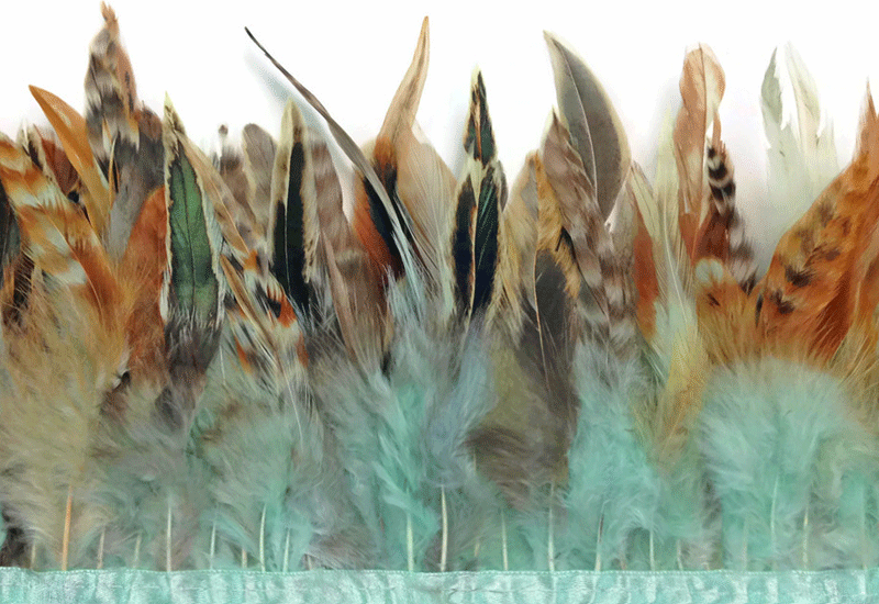 Rooster Feather Trim