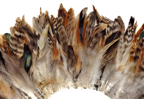 Curved strip of natural brown and cream rooster schlappen feathers.