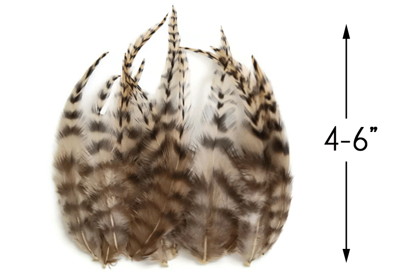 4-6" SHORT FEATHER