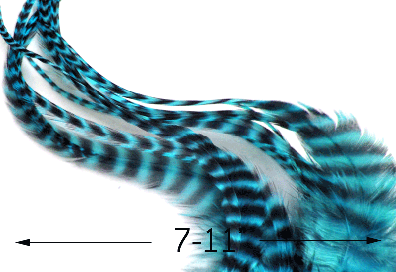 Thick LONG Feathers