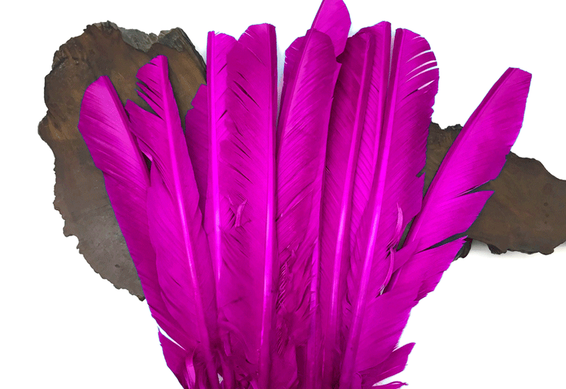 Turkey Pointer Feathers | Large Turkey Quill Feathers – Moonlight Feather