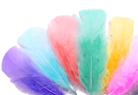 Turkey T-Base Plumage Craft Feathers | Moonlight Feather – Page 2
