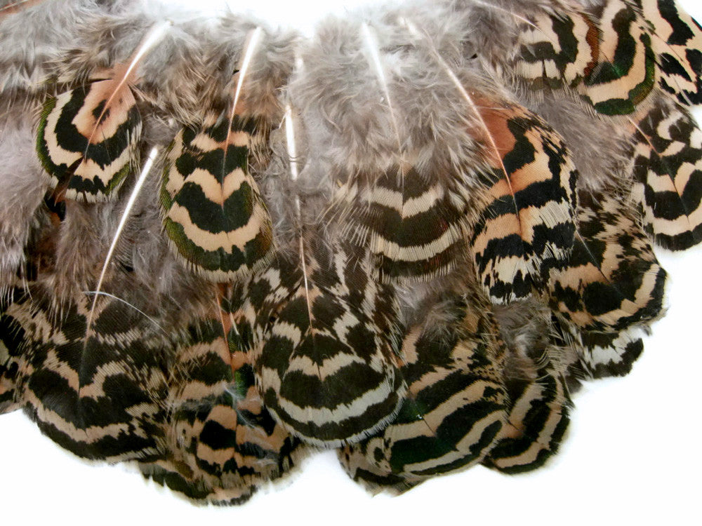 10 Pieces - 1-3" Natural Brown Mottled Peahen Body Plumage Feather