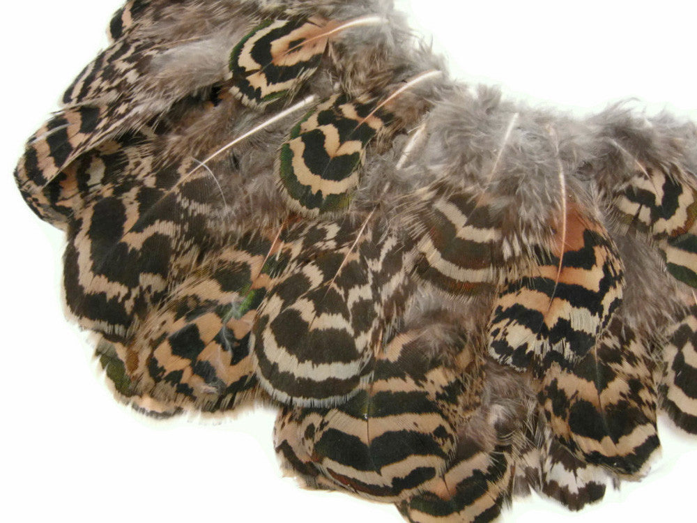 10 Pieces - 1-3" Natural Brown Mottled Peahen Body Plumage Feather