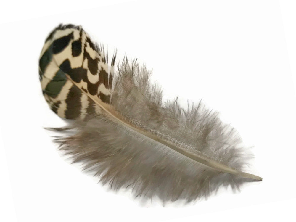 10 Pieces - 1-3" Natural Brown Mottled Peahen Body Plumage Feather