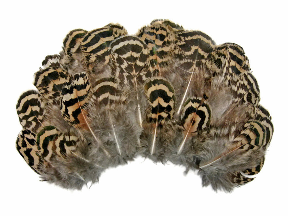 10 Pieces - 1-3" Natural Brown Mottled Peahen Body Plumage Feather