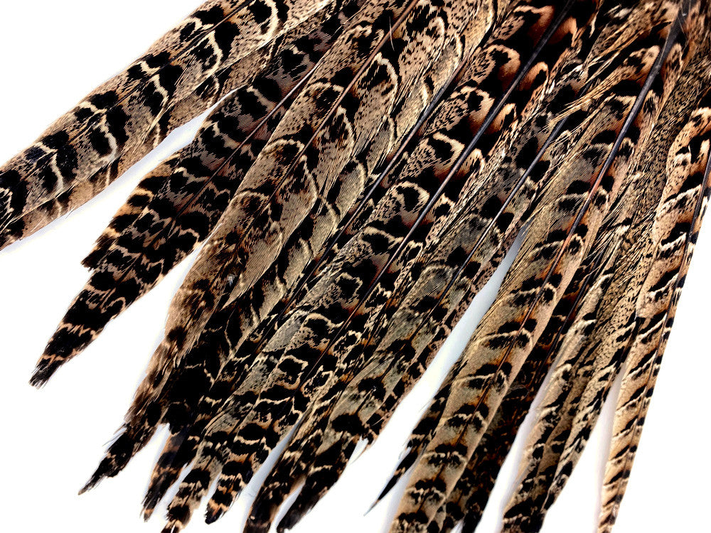 10 Pieces - 10-12" Natural Brown Ringneck Hen Pheasant Tail Feathers