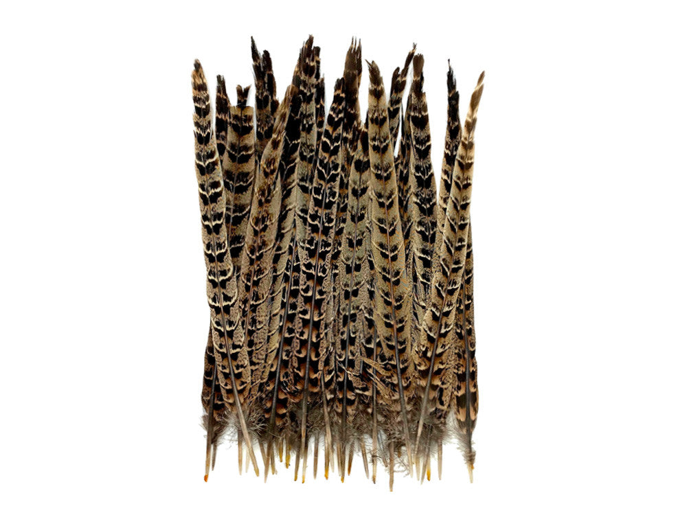 10 Pieces - 10-12" Natural Brown Ringneck Hen Pheasant Tail Feathers