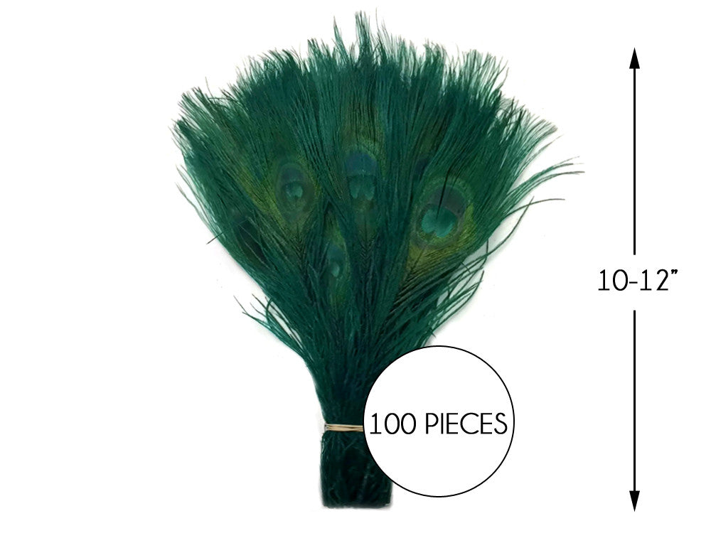 100 Pieces – Hunter Green Bleached & Dyed Peacock Tail Eye Wholesale Feathers (Bulk) 10-12” Long 