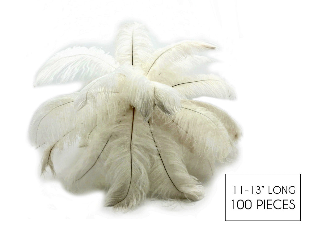 100 Pieces - 11-13" Off White Ostrich Drabs Wholesale Body Feathers (Bulk)