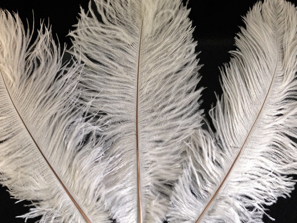 10 Pieces - 8-10" Bleached Off White Ostrich Dyed Drabs Feathers