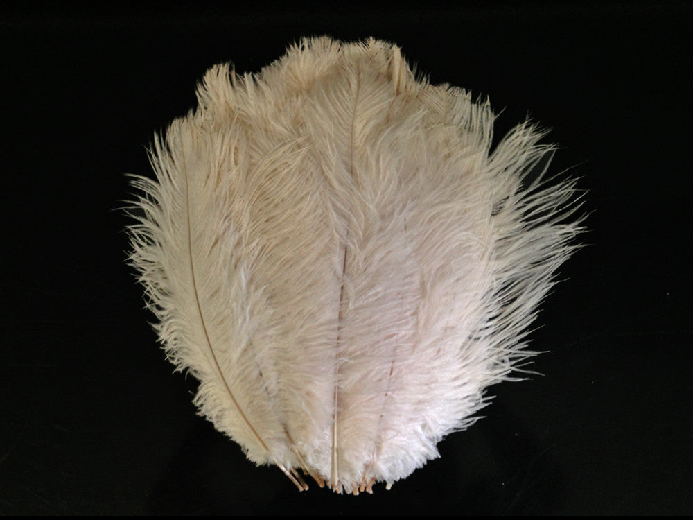 10 Pieces - 14-17" Off White Ostrich Drab Body Feathers