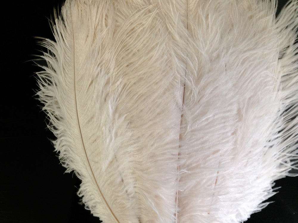 1/2 lb. - 14-17" Off White Ostrich Large Body Drab Wholesale Feathers (Bulk)