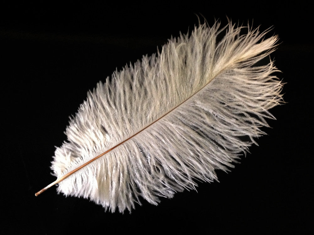 10 Pieces - 14-17" Off White Ostrich Drab Body Feathers