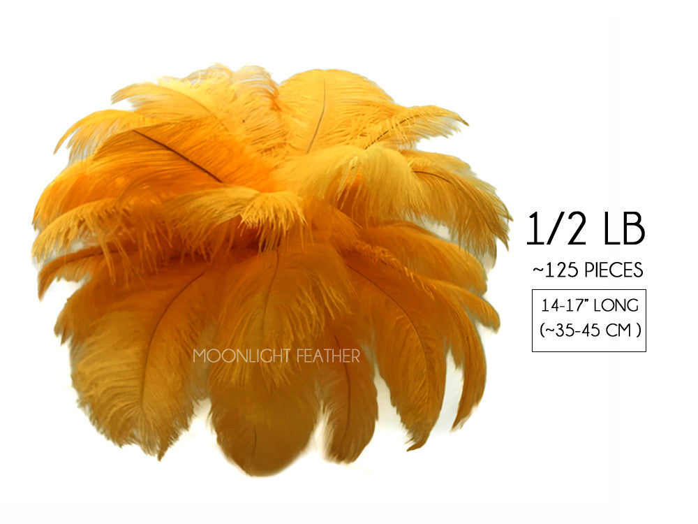 1/2 lb. - 14-17" Golden Yellow Ostrich Large Body Drab Wholesale Feathers (Bulk)