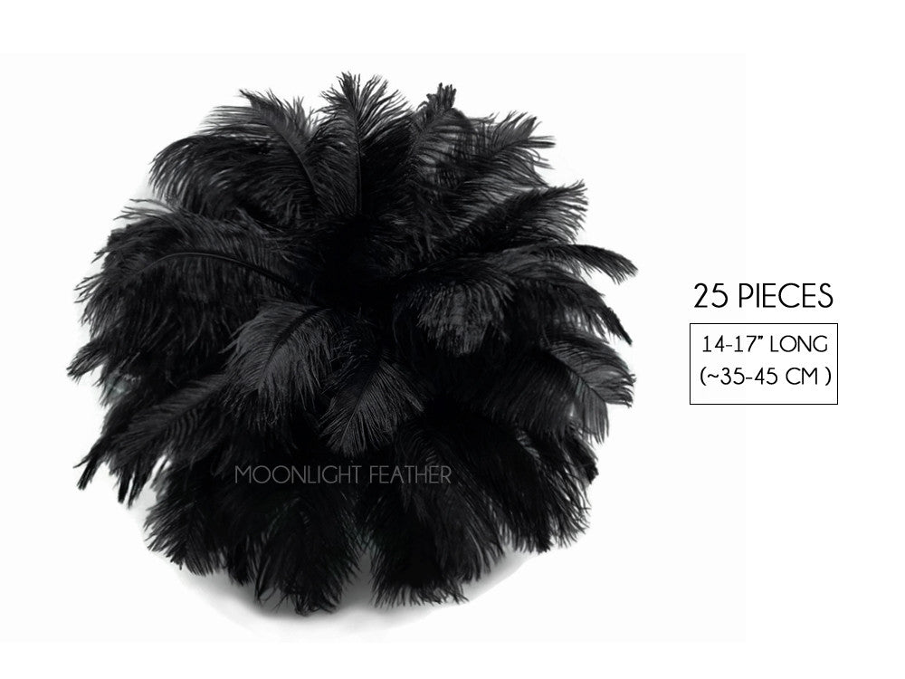 25 Pieces - 14-17" Black Ostrich Drab Centerpiece Feathers Sets