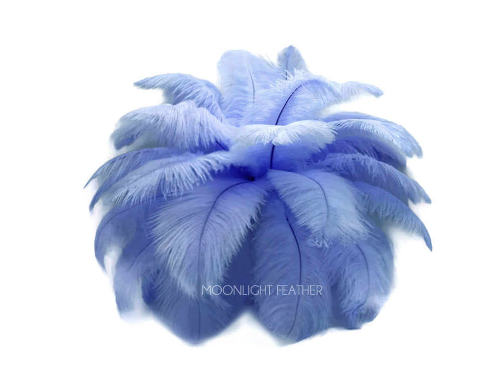 10 Pieces - 11-13" Light Blue Bleached & Dyed Ostrich Drabs Body Feathers