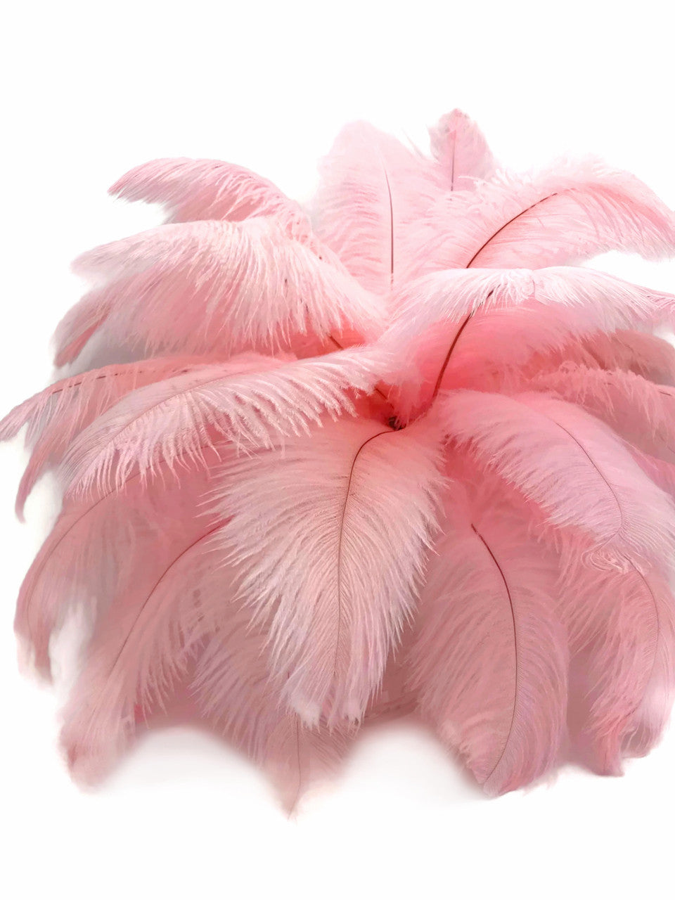 10 Pieces - 14-17" Baby Pink Ostrich Dyed Drab Body Feathers