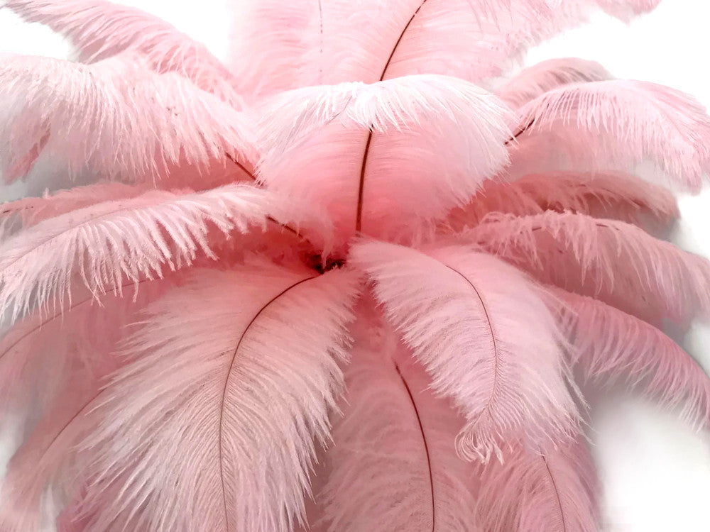 10 Pieces - 14-17" Baby Pink Ostrich Dyed Drab Body Feathers