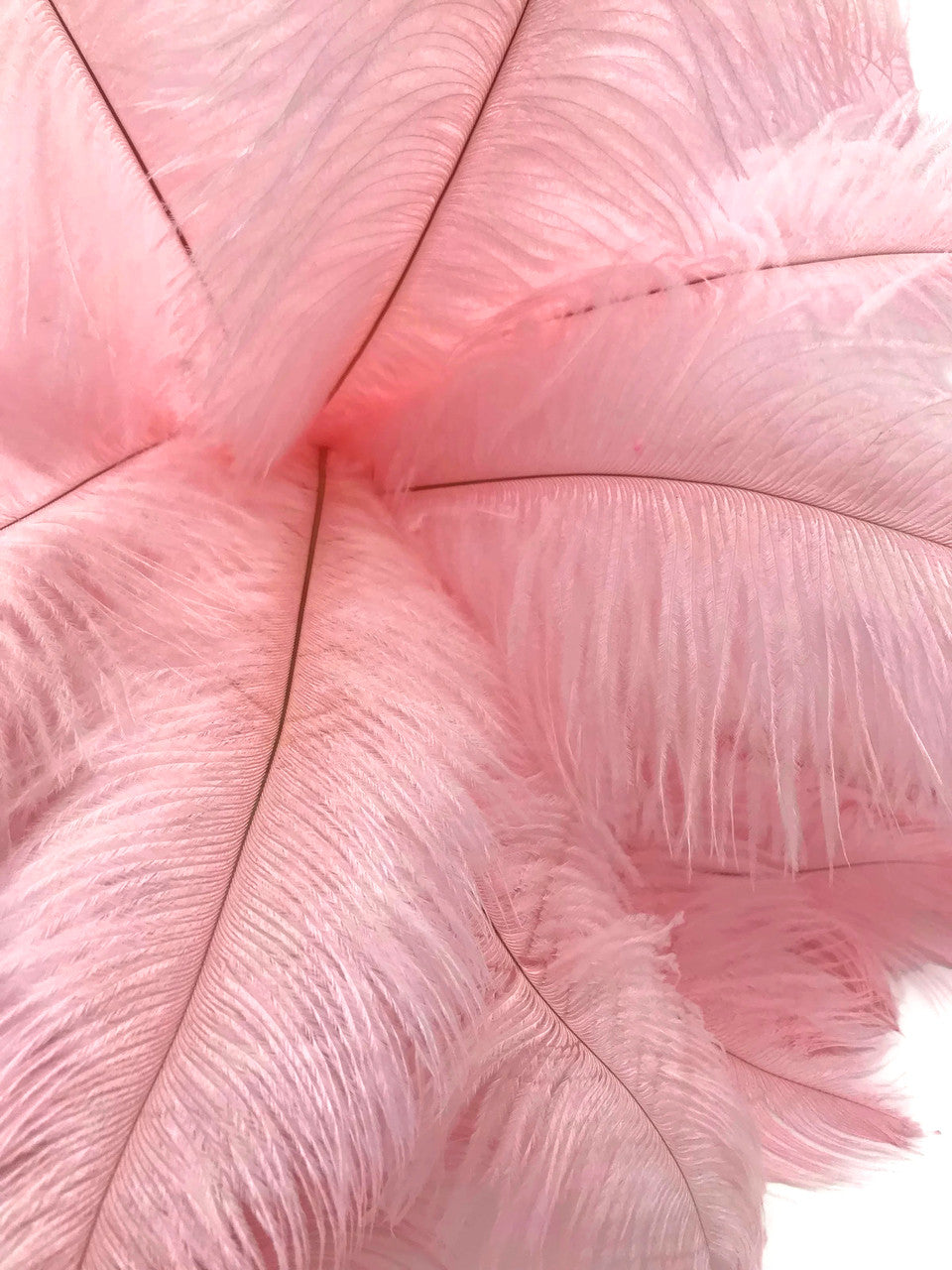 10 Pieces - 14-17" Baby Pink Ostrich Dyed Drab Body Feathers