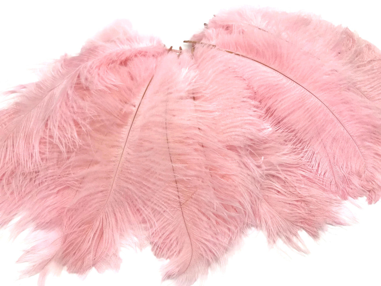 10 Pieces - 14-17" Baby Pink Ostrich Dyed Drab Body Feathers