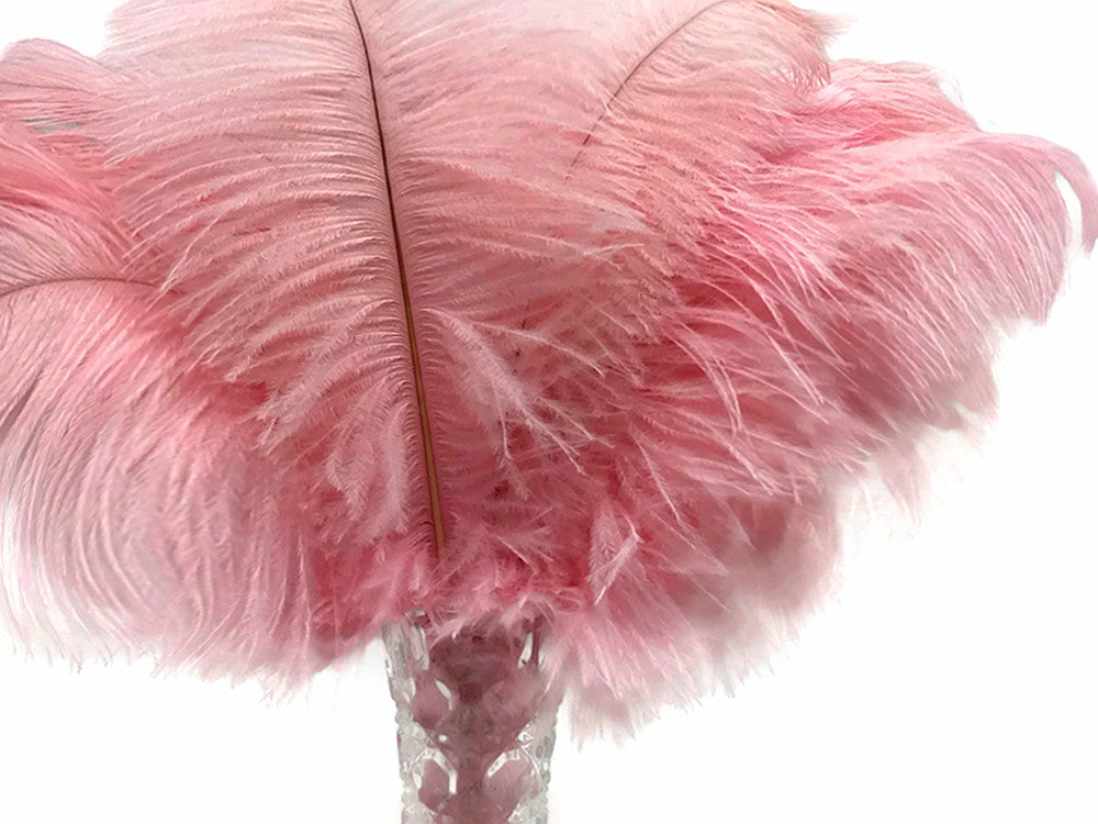 10 Pieces - 14-17" Baby Pink Ostrich Dyed Drab Body Feathers