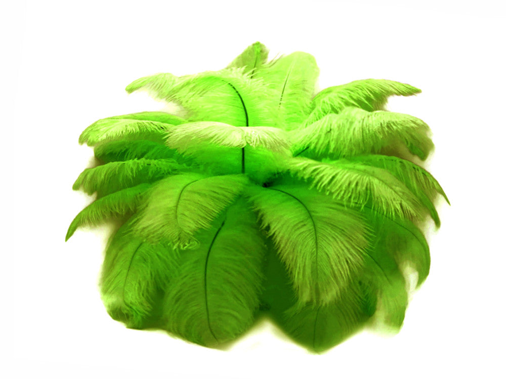 10 Pieces - 6-8" Lime Green Ostrich Dyed Drabs Body Feathers