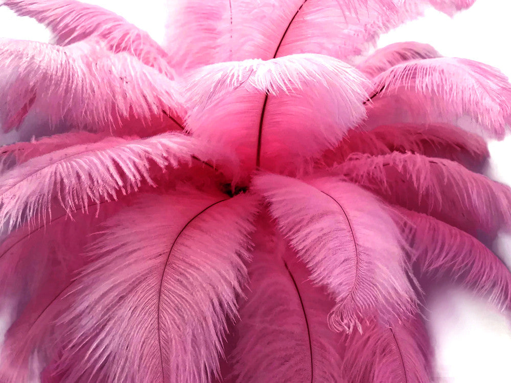 10 Pieces - 14-17" Pink Ostrich Dyed Drab Body Feathers