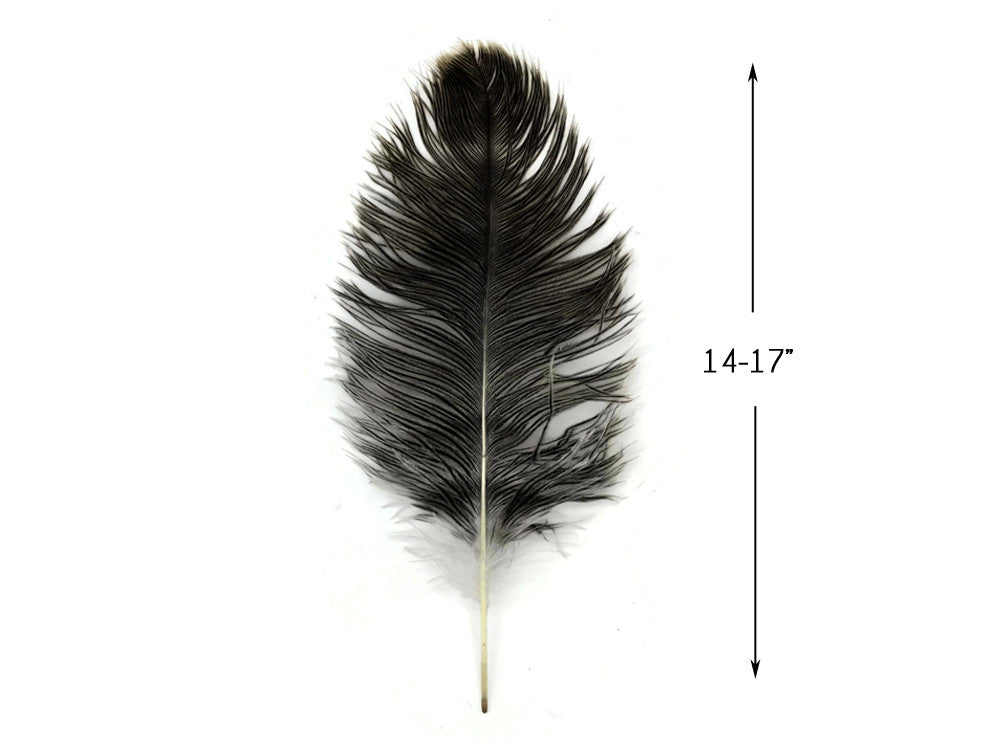 10 Pieces - 14-17" Natural Chinchilla Brown Ostrich Dyed Drab Body Feathers