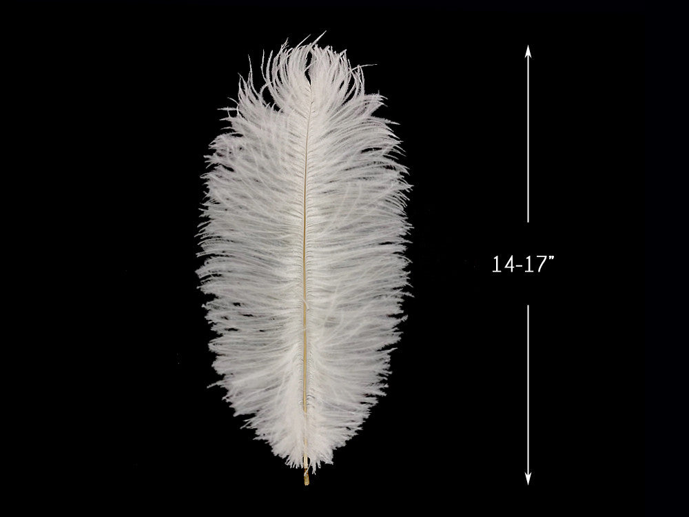 10 Pieces - 14-17" Off White Ostrich Drab Body Feathers