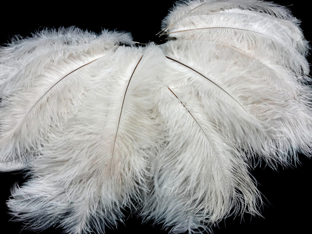 100 Pieces - 8-10" Bleached Off White Ostrich Drab Body Wholesale Feathers (Bulk)
