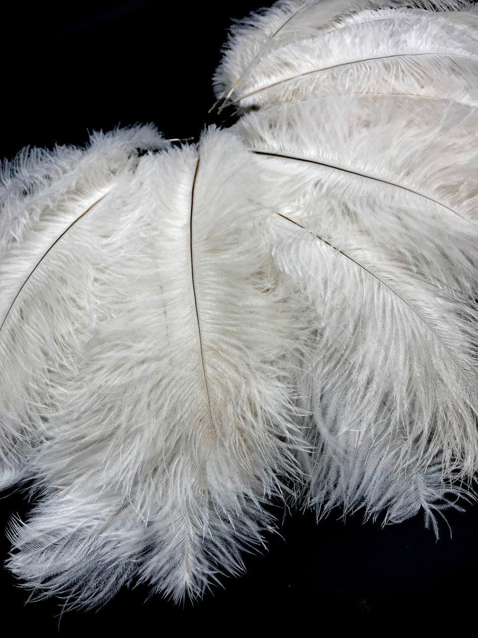 100 Pieces - 11-13" Off White Ostrich Drabs Wholesale Body Feathers (Bulk)