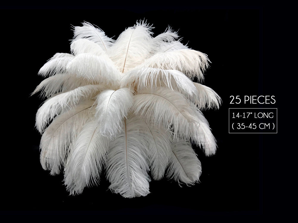 25 Pieces - 14-17" Off White Ostrich Drab Centerpiece Feathers Sets