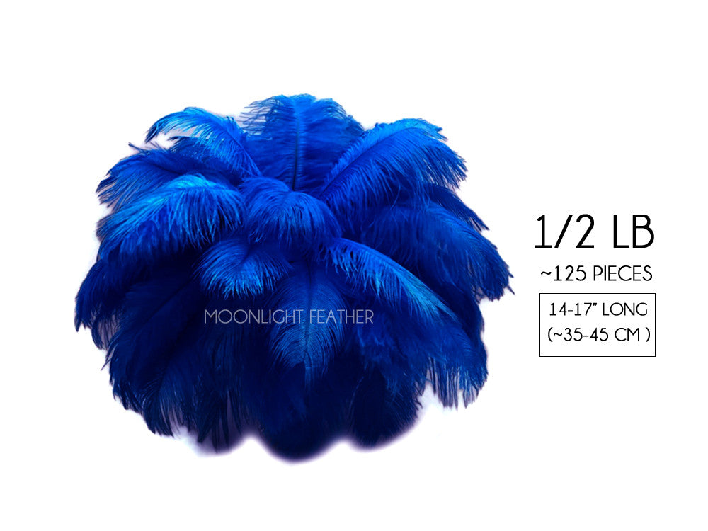 1/2 lb. - 14-17" Royal Blue Ostrich Large Body Drab Wholesale Feathers (Bulk)