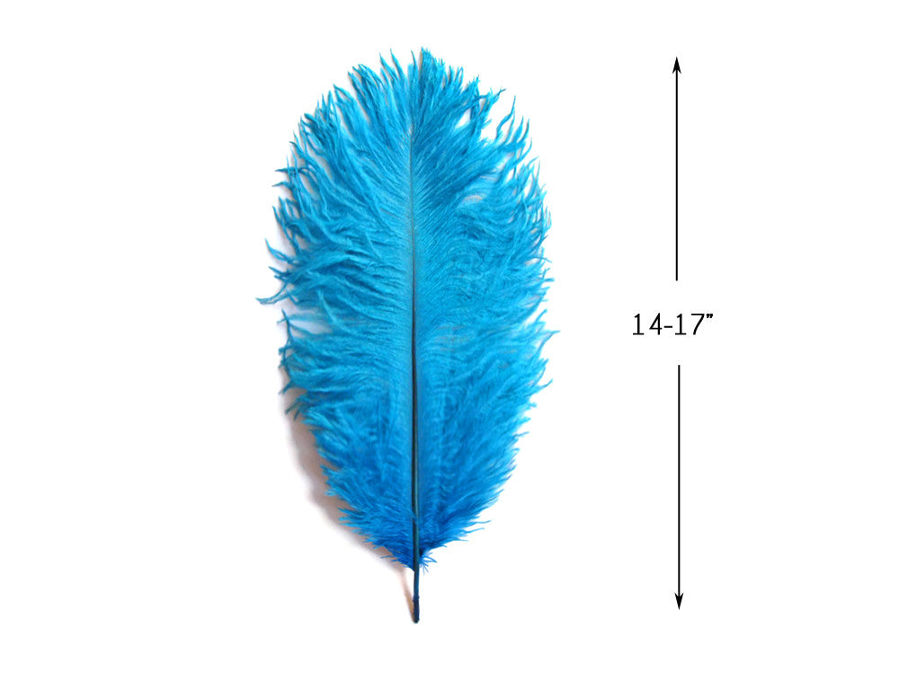 10 Pieces - 14-17" Turquoise Blue Ostrich Dyed Drab Body Feathers