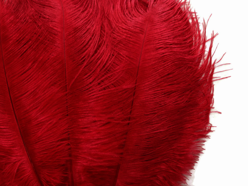 100 Pieces - 8-10" Red Ostrich Dyed Drab Body Wholesale Feathers (Bulk)