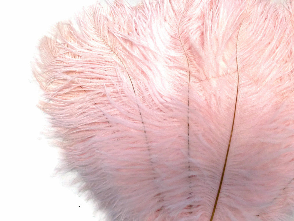 1/2 lb. - 14-17" Baby Pink Ostrich Large Body Drab Wholesale Feathers (Bulk)