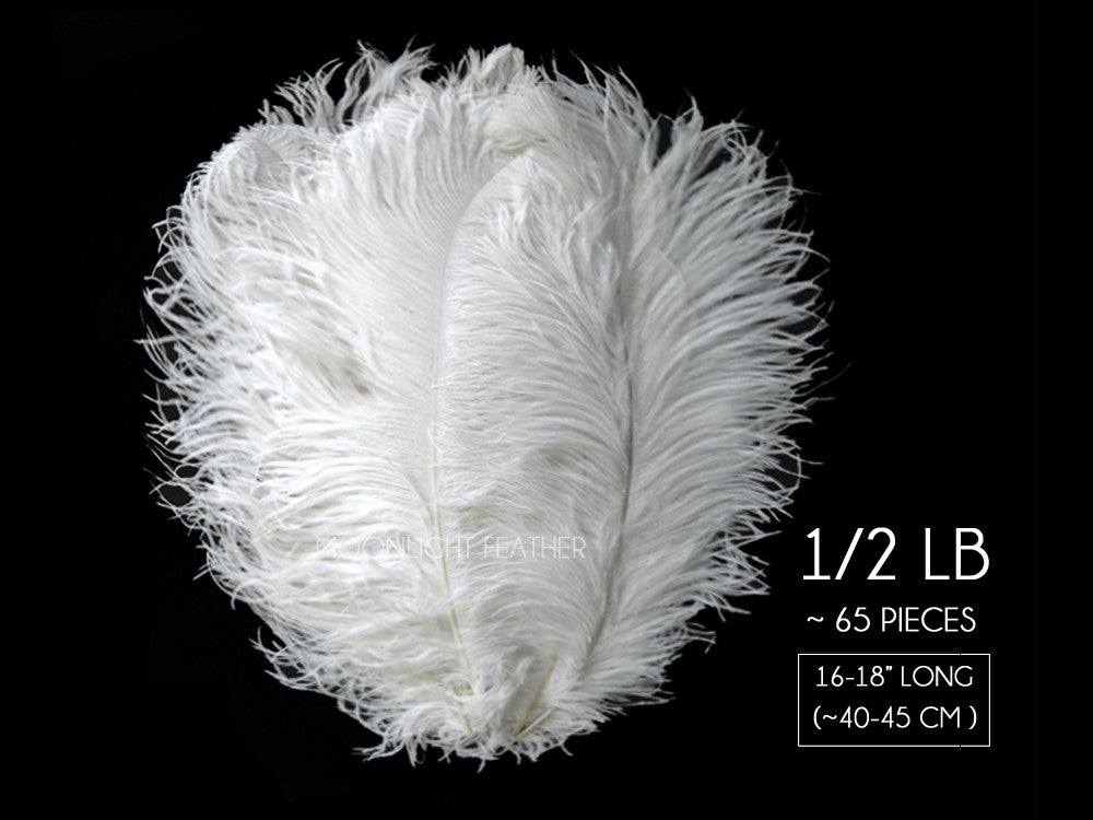 1/2 lb. - 16-18" White Grade #1 Large Ostrich Wing Plumes Wholesale Feather (Bulk)
