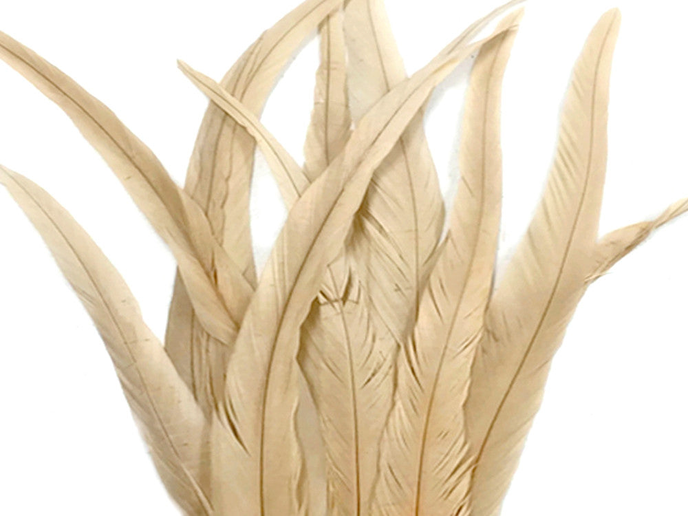 1/2 lbs. - 16-18" Ivory Strung Natural Bleached Rooster Coque Tail Wholesale Feathers (Bulk)