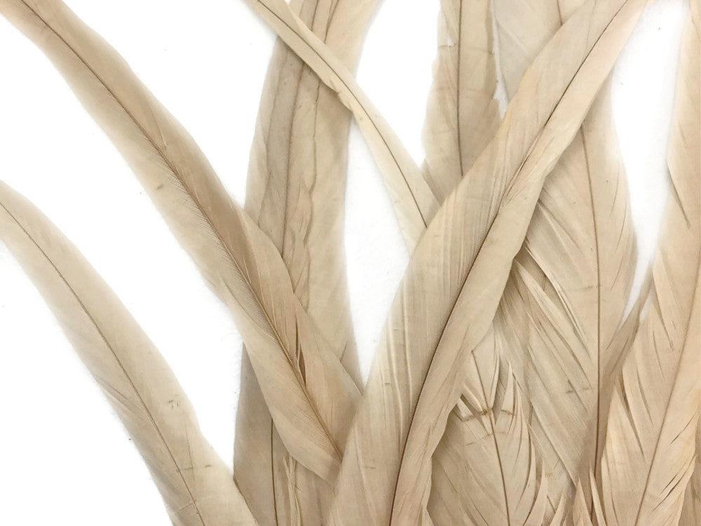 1/2 Yard - 14-16" Ivory Strung Natural Bleached Rooster Coque Tail Wholesale Feathers (Bulk)