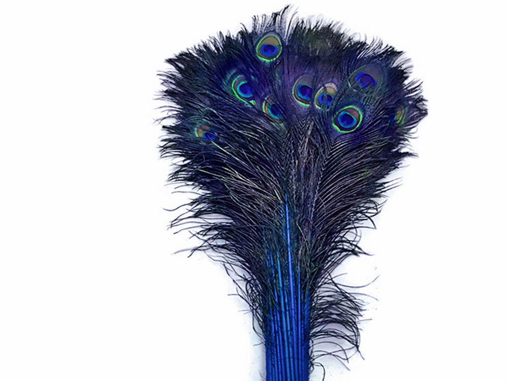 50 Pieces - 20-25" Royal Blue Dyed Over Natural Long Peacock Tail Eye Wholesale Feathers (Bulk)