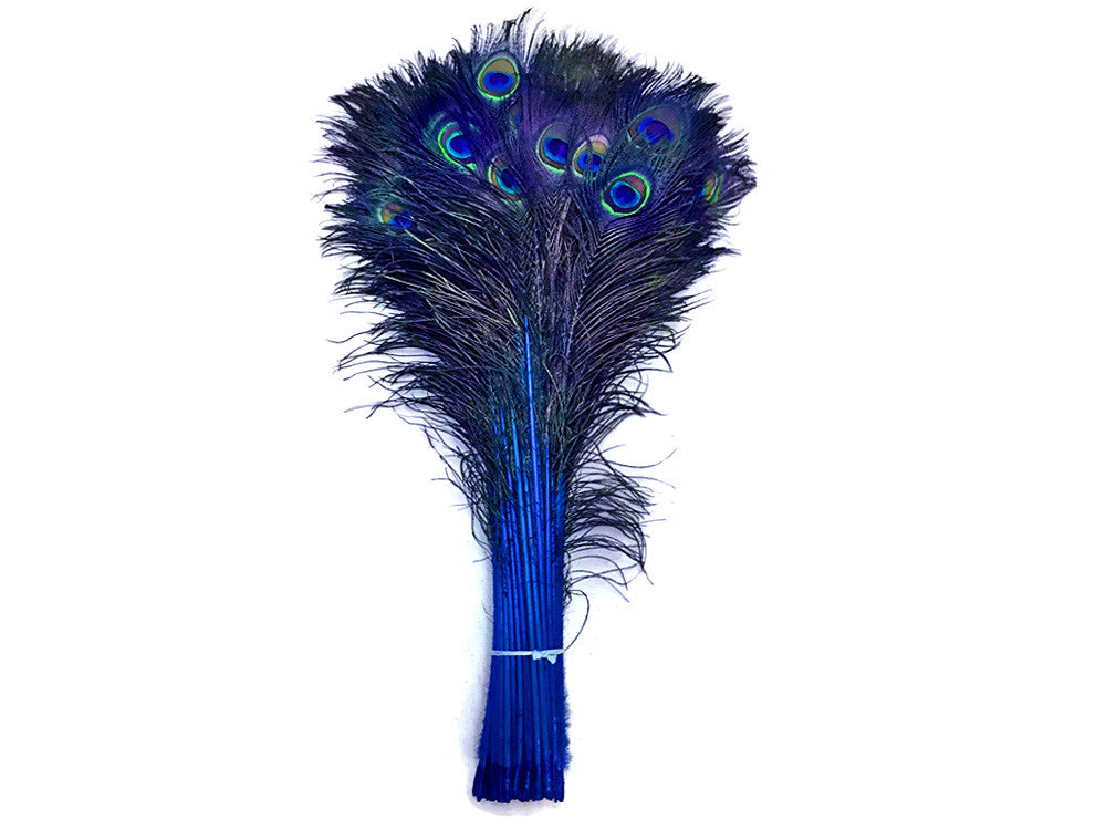 50 Pieces - 20-25" Royal Blue Dyed Over Natural Long Peacock Tail Eye Wholesale Feathers (Bulk)