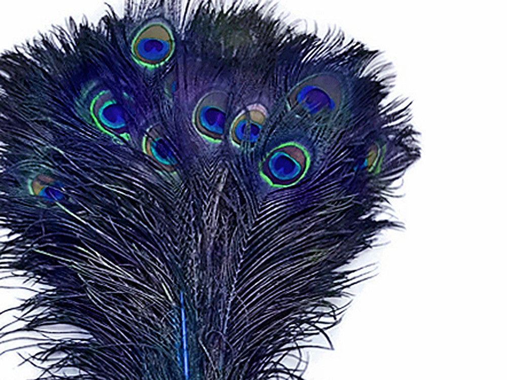 50 Pieces - 20-25" Royal Blue Dyed Over Natural Long Peacock Tail Eye Wholesale Feathers (Bulk)