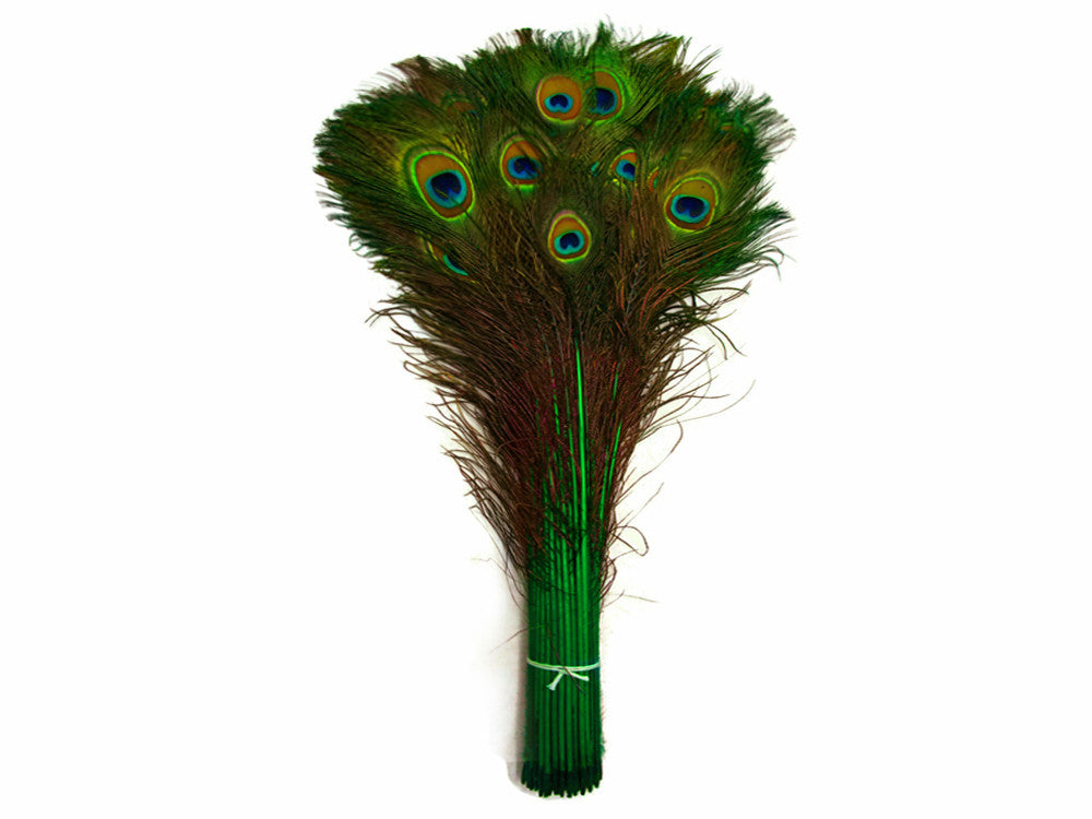 50 Pieces - 20-25" Kelly Green Dyed Over Natural Long Peacock Tail Eye Wholesale Feathers (Bulk)