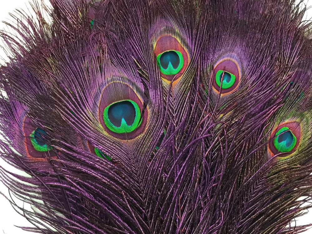 50 Pieces - 20-25" Purple Dyed Over Natural Long Peacock Tail Eye Wholesale Feathers (Bulk)