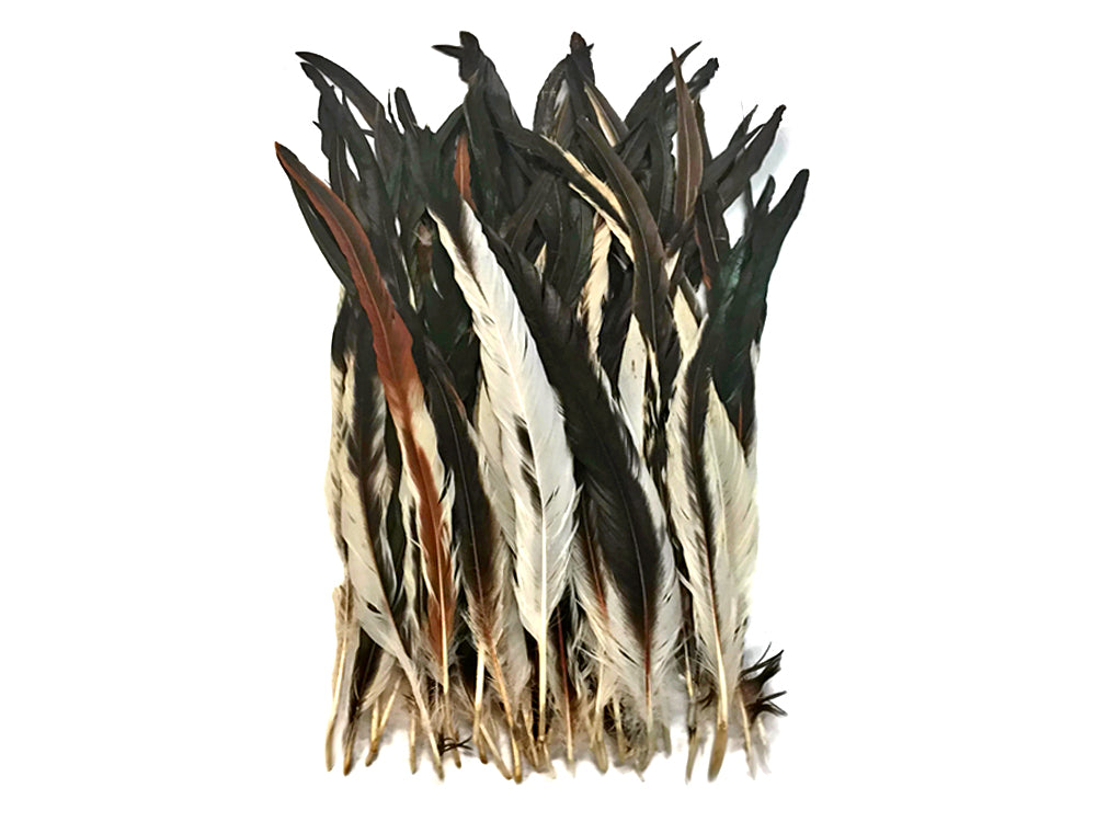 10 Pieces -  16-18" Natural Brown & Cream Mix Coque Tail Loose Long Feathers