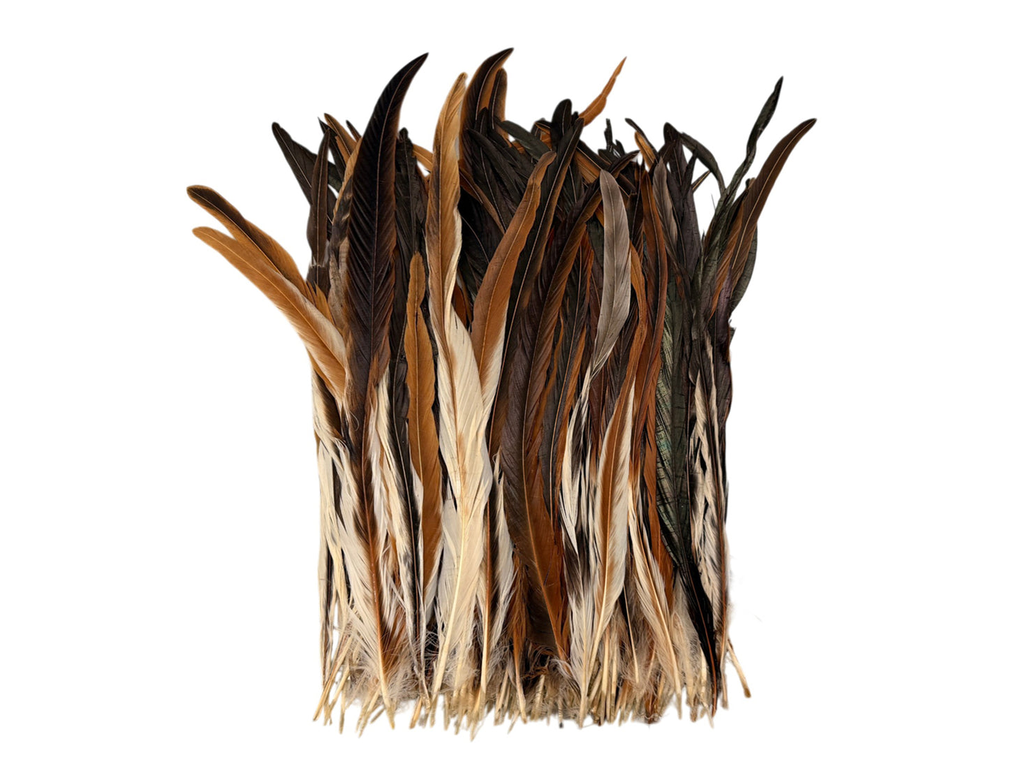 10 Pieces -  16-18" Natural Brown & Cream Mix Coque Tail Loose Long Feathers