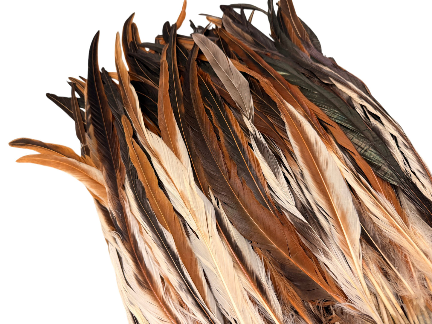10 Pieces -  16-18" Natural Brown & Cream Mix Coque Tail Loose Long Feathers