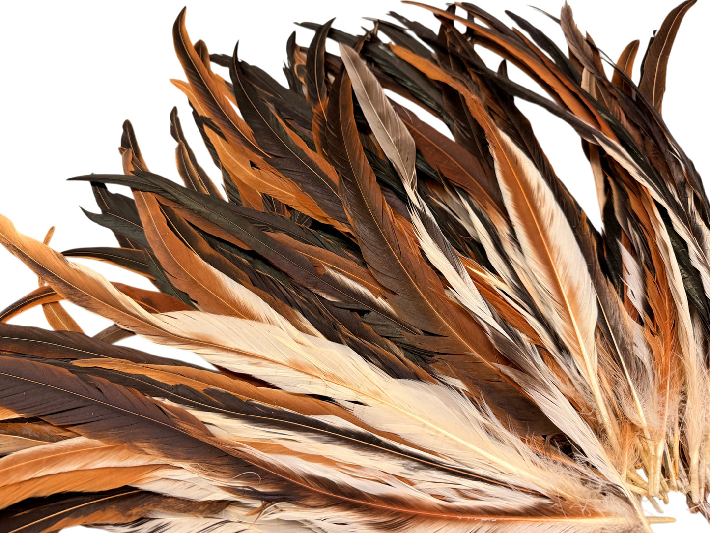 10 Pieces -  16-18" Natural Brown & Cream Mix Coque Tail Loose Long Feathers