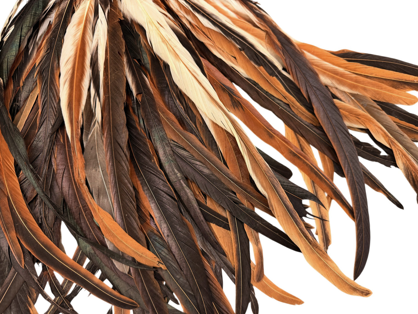 10 Pieces -  16-18" Natural Brown & Cream Mix Coque Tail Loose Long Feathers